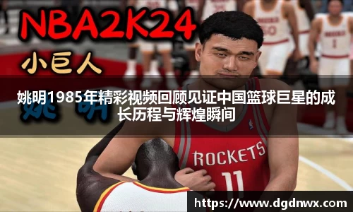 多多28