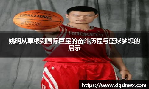 多多28