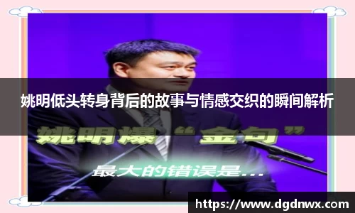 多多28