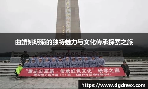 曲靖姚明菊的独特魅力与文化传承探索之旅