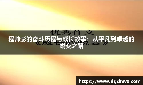 程帅澎的奋斗历程与成长故事：从平凡到卓越的蜕变之路
