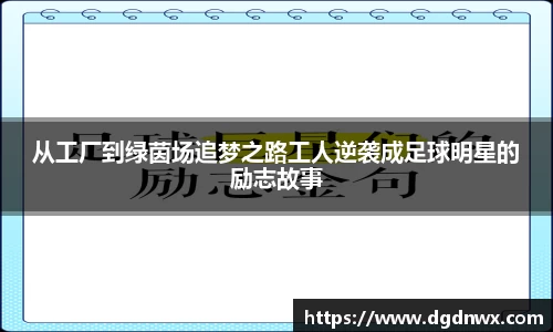 多多28官方网站