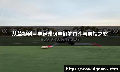 星空·综合体育中国官网